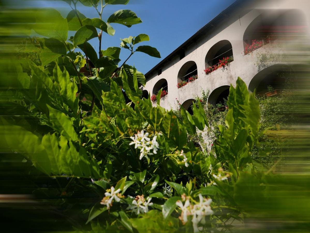 Affittacamere Casa Archi Losone Exterior photo